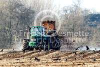 Tractor spreading muck