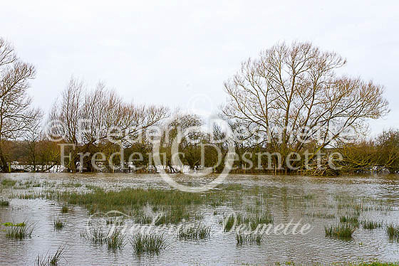 Cuddington flood 2
