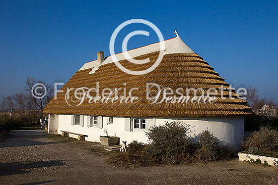 Camargue farm house_-1