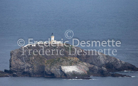 Hermaness lighthouse 1