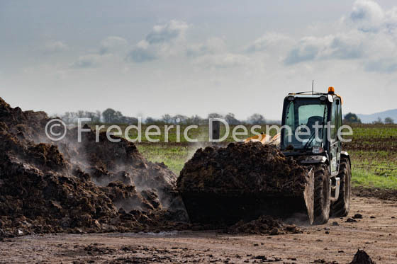 Tractor moving muck-18
