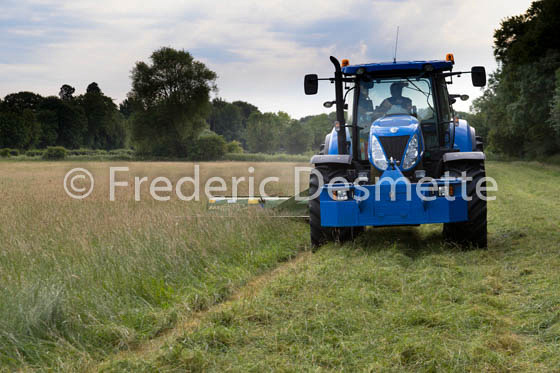 Tractor cutting grass-20