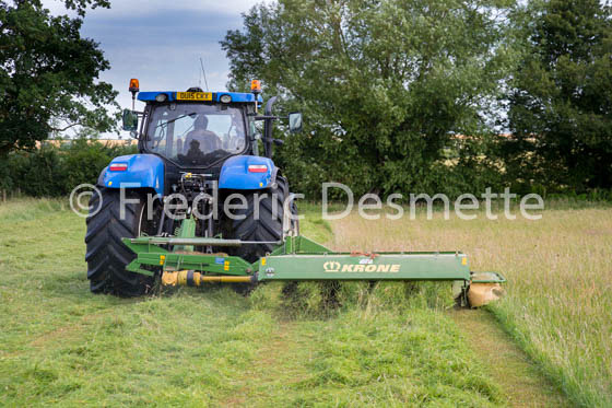 Tractor cutting grass-22
