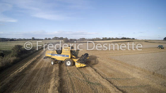 Combine harvester harvesting wheat-2