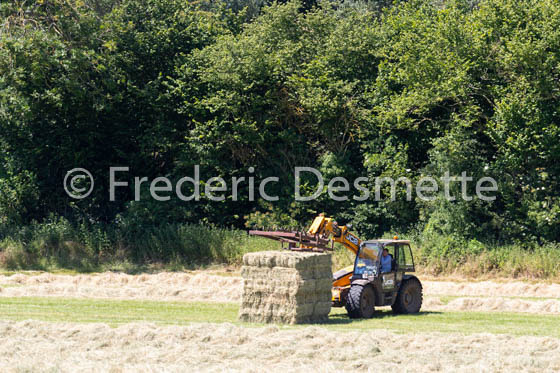 tractor moving hay-95