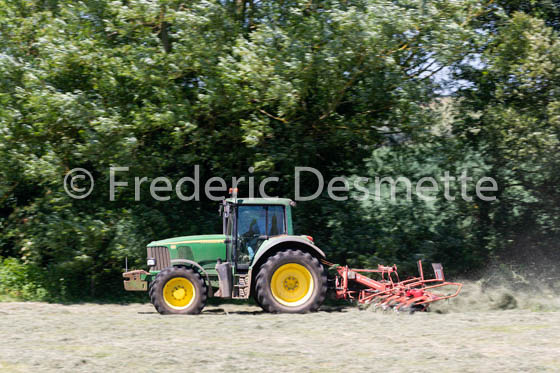 Tractor turning up hay-2