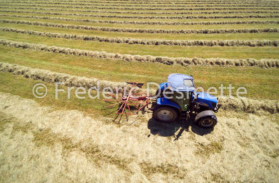 tractor teddering hay-87