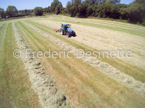tractor teddering hay-88