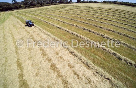 tractor teddering hay-89