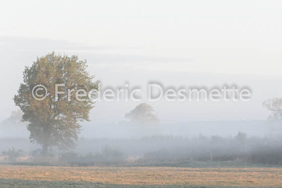 Sunrise at Aston Clinton, Buckinghamshire-76